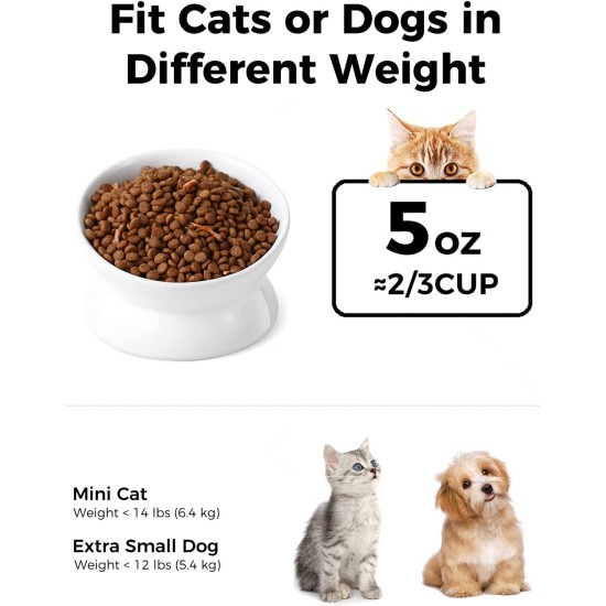 LoeJan Elevated Cat Bowl 5oz Ceramic Raised and Tilted Water Bowl, Anti Vomiting and Protect Pet Spine, Cat Bowl for Small Dogs, Thick Cats, Kittens LoeJan Elevated Cat Bowl 5oz Ceramic Raised and Tilted Water Bowl, Anti Vomiting and Protect Pet Spine, Cat Bowl for Small Dogs, Thick Cats, Kittens