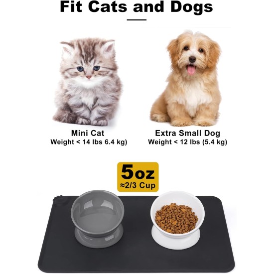 LoeJan Elevated Cat Bowl 5oz Ceramic Raised and Tilted Water Bowl, Anti Vomiting and Protect Pet Spine, Cat Bowl for Small Dogs, Thick Cats, Kittens LoeJan Elevated Cat Bowl 5oz Ceramic Raised and Tilted Water Bowl, Anti Vomiting and Protect Pet Spine, Cat Bowl for Small Dogs, Thick Cats, Kittens