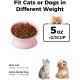 LoeJan Elevated Cat Bowl 5oz Ceramic Raised and Tilted Water Bowl, Anti Vomiting and Protect Pet Spine, Cat Bowl for Small Dogs, Thick Cats, Kittens LoeJan Elevated Cat Bowl 5oz Ceramic Raised and Tilted Water Bowl, Anti Vomiting and Protect Pet Spine, Cat Bowl for Small Dogs, Thick Cats, Kittens