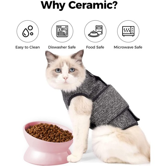 LoeJan Elevated Cat Bowl 5oz Ceramic Raised and Tilted Water Bowl, Anti Vomiting and Protect Pet Spine, Cat Bowl for Small Dogs, Thick Cats, Kittens LoeJan Elevated Cat Bowl 5oz Ceramic Raised and Tilted Water Bowl, Anti Vomiting and Protect Pet Spine, Cat Bowl for Small Dogs, Thick Cats, Kittens
