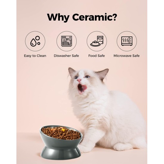 LoeJan Elevated Cat Bowl 5oz Ceramic Raised and Tilted Water Bowl, Anti Vomiting and Protect Pet Spine, Cat Bowl for Small Dogs, Thick Cats, Kittens LoeJan Elevated Cat Bowl 5oz Ceramic Raised and Tilted Water Bowl, Anti Vomiting and Protect Pet Spine, Cat Bowl for Small Dogs, Thick Cats, Kittens