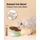 LoeJan Elevated Cat Bowl 5oz Ceramic Raised and Tilted Water Bowl, Anti Vomiting and Protect Pet Spine, Cat Bowl for Small Dogs, Thick Cats, Kittens LoeJan Elevated Cat Bowl 5oz Ceramic Raised and Tilted Water Bowl, Anti Vomiting and Protect Pet Spine, Cat Bowl for Small Dogs, Thick Cats, Kittens