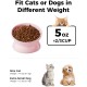 LoeJan Elevated Cat Bowl 5oz Ceramic Raised and Tilted Water Bowl, Anti Vomiting and Protect Pet Spine, Cat Bowl for Small Dogs, Thick Cats, Kittens LoeJan Elevated Cat Bowl 5oz Ceramic Raised and Tilted Water Bowl, Anti Vomiting and Protect Pet Spine, Cat Bowl for Small Dogs, Thick Cats, Kittens