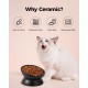 LoeJan Elevated Cat Bowl 5oz Ceramic Raised and Tilted Water Bowl, Anti Vomiting and Protect Pet Spine, Cat Bowl for Small Dogs, Thick Cats, Kittens LoeJan Elevated Cat Bowl 5oz Ceramic Raised and Tilted Water Bowl, Anti Vomiting and Protect Pet Spine, Cat Bowl for Small Dogs, Thick Cats, Kittens
