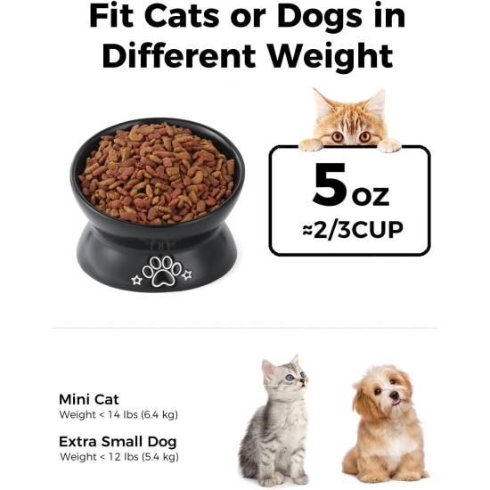 LoeJan Elevated Cat Bowl 5oz Ceramic Raised and Tilted Water Bowl, Anti Vomiting and Protect Pet Spine, Cat Bowl for Small Dogs, Thick Cats, Kittens LoeJan Elevated Cat Bowl 5oz Ceramic Raised and Tilted Water Bowl, Anti Vomiting and Protect Pet Spine, Cat Bowl for Small Dogs, Thick Cats, Kittens