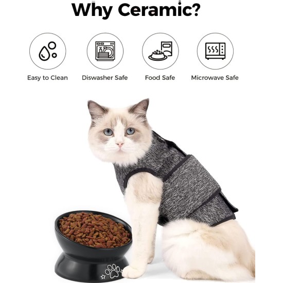 LoeJan Elevated Cat Bowl 5oz Ceramic Raised and Tilted Water Bowl, Anti Vomiting and Protect Pet Spine, Cat Bowl for Small Dogs, Thick Cats, Kittens LoeJan Elevated Cat Bowl 5oz Ceramic Raised and Tilted Water Bowl, Anti Vomiting and Protect Pet Spine, Cat Bowl for Small Dogs, Thick Cats, Kittens