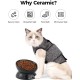 LoeJan Elevated Cat Bowl 5oz Ceramic Raised and Tilted Water Bowl, Anti Vomiting and Protect Pet Spine, Cat Bowl for Small Dogs, Thick Cats, Kittens LoeJan Elevated Cat Bowl 5oz Ceramic Raised and Tilted Water Bowl, Anti Vomiting and Protect Pet Spine, Cat Bowl for Small Dogs, Thick Cats, Kittens