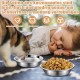 Loppdece Pack of 8 Stainless Steel Cat Bowls, 14 cm Cat Food Bowls, Cat Bowls for Whiskers Fatigue, Flat Feeding Bowls for Cats and Kittens, Small Dogs, Dishwasher Safe Loppdece Pack of 8 Stainless Steel Cat Bowls, 14 cm Cat Food Bowls, Cat Bowls for Whiskers Fatigue, Flat Feeding Bowls for Cats and Kittens, Small Dogs, Dishwasher Safe