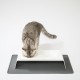 LucyBalu® Bowl Mat for Cats, Cat Mat for Water & Food Bowl, Silicone Mat as Non-Slip Mat for Cat Bowl, Feeding Mat for Cats, Rectangular, Taupe LucyBalu® Bowl Mat for Cats, Cat Mat for Water & Food Bowl, Silicone Mat as Non-Slip Mat for Cat Bowl, Feeding Mat for Cats, Rectangular, Taupe