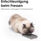 LucyBalu® ZENPAD Licking Mat for Cats, Slow Feeder, Licking Mat Made of Food-Grade Silicone, Silicone Mat for Licking, Rose LucyBalu® ZENPAD Licking Mat for Cats, Slow Feeder, Licking Mat Made of Food-Grade Silicone, Silicone Mat for Licking, Rose