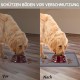 MateeyLife Cat Bowl Mat Large Dog Bowl Mat Small Dogs Silicone Mat Dog Bowl Large Dogs Non-Slip Mat Cat Bowl Cat Feeding Bowl Mat 55 x 35 cm MateeyLife Cat Bowl Mat Large Dog Bowl Mat Small Dogs Silicone Mat Dog Bowl Large Dogs Non-Slip Mat Cat Bowl Cat Feeding Bowl Mat 55 x 35 cm