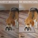 MateeyLife Cat Bowl Mat Large Dog Bowl Mat Small Dogs Silicone Mat Dog Bowl Large Dogs Non-Slip Mat Cat Bowl Cat Feeding Bowl Mat 55 x 35 cm MateeyLife Cat Bowl Mat Large Dog Bowl Mat Small Dogs Silicone Mat Dog Bowl Large Dogs Non-Slip Mat Cat Bowl Cat Feeding Bowl Mat 55 x 35 cm