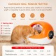 Microchip Automatic Cat Feeder, Cat Food Automatic with RFID Collar Pendant, Dual Powered Electric Pet Feeder, Automatic Cat Wet Food for Wet and Dry Food, Orange Microchip Automatic Cat Feeder, Cat Food Automatic with RFID Collar Pendant, Dual Powered Electric Pet Feeder, Automatic Cat Wet Food for Wet and Dry Food, Orange
