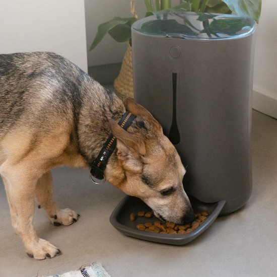 Navaris Automatic Feeder - 6 L Feeder with Timer and Acoustic Notification - for Dogs and Cats, White Navaris Automatic Feeder - 6 L Feeder with Timer and Acoustic Notification - for Dogs and Cats, White