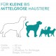 Navaris Automatic Feeder - 6 L Feeder with Timer and Acoustic Notification - for Dogs and Cats, White Navaris Automatic Feeder - 6 L Feeder with Timer and Acoustic Notification - for Dogs and Cats, White