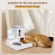 Nobleza 2-in-1 Automatic Cat Dog Feeder, 2.2L Feeder, 1L Water Dispenser for Dogs, Cats, Small and Medium Pets (Grey) Nobleza 2-in-1 Automatic Cat Dog Feeder, 2.2L Feeder, 1L Water Dispenser for Dogs, Cats, Small and Medium Pets (Grey)