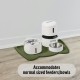 OHMO Bowl Mat for Small Dogs and Cats, Mat for Cat Bowl, Non-Slip Silicone Feeding Mat, Waterproof, Beige, 52 x 30 cm