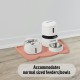 OHMO Bowl Mat for Small Dogs and Cats, Mat for Cat Bowl, Non-Slip Silicone Feeding Mat, Waterproof, Beige, 52 x 30 cm