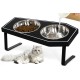 OPELETNNT Cat Food Bowls Elevated, Gothic Cat Bowls Raised Cat Bowls for Indoor Cats with Non-Slip Stand & Bamboo Board, Stainless Steel and Whisker-Friendly Feeding Bowls