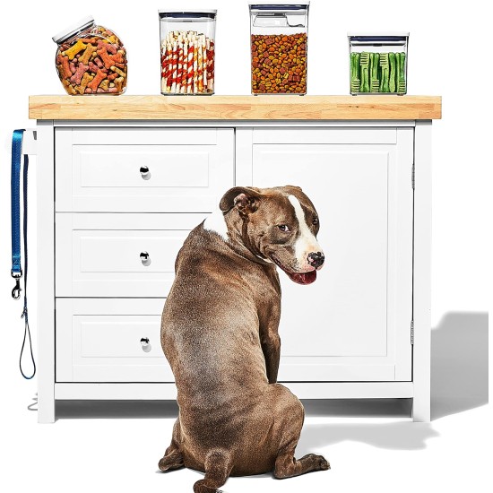 OXO Good Grips Pet Pop Container - 2.6L, Ideal for up to 3lb Dog Food or 2lb Cat Food, Airtight Storage Container for Dog and Cat Food, BPA Free OXO Good Grips Pet Pop Container - 2.6L, Ideal for up to 3lb Dog Food or 2lb Cat Food, Airtight Storage Container for Dog and Cat Food, BPA Free