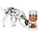 Old Tjikko Automatic Food and Water Dispenser for Cats and Dogs, Automatic Feeder and Water Drinker Set for Small Animals, Dog Bowl, 3.8 Litres PBA Free