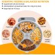 Ownpets Automatic Cat Feeder for Wet/Dry Food, with Programmable Timer, 4 Meals with 2 Ice Packs, Wireless Battery Operated, Protect Paw Design Ownpets Automatic Cat Feeder for Wet/Dry Food, with Programmable Timer, 4 Meals with 2 Ice Packs, Wireless Battery Operated, Protect Paw Design