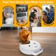 Ownpets Automatic Cat Feeder for Wet/Dry Food, with Programmable Timer, 4 Meals with 2 Ice Packs, Wireless Battery Operated, Protect Paw Design Ownpets Automatic Cat Feeder for Wet/Dry Food, with Programmable Timer, 4 Meals with 2 Ice Packs, Wireless Battery Operated, Protect Paw Design