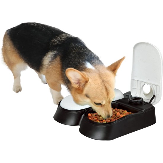 PAWISE Automatic Cat Feeder Wet Food - Battery Operated Cat Food Automatic with Timer for 48 Hour Planning, Easy to Use, Health and Safety thanks to Ice Pack PAWISE Automatic Cat Feeder Wet Food - Battery Operated Cat Food Automatic with Timer for 48 Hour Planning, Easy to Use, Health and Safety thanks to Ice Pack