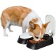 PAWISE Automatic Cat Feeder Wet Food - Battery Operated Cat Food Automatic with Timer for 48 Hour Planning, Easy to Use, Health and Safety thanks to Ice Pack PAWISE Automatic Cat Feeder Wet Food - Battery Operated Cat Food Automatic with Timer for 48 Hour Planning, Easy to Use, Health and Safety thanks to Ice Pack