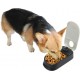 PAWISE Automatic Pet Feeding for Dogs and Cats, 1.5 Cup Feeder with 48-Hour Timer for Single PAWISE Automatic Pet Feeding for Dogs and Cats, 1.5 Cup Feeder with 48-Hour Timer for Single
