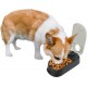 PAWISE Automatic Pet Feeding for Dogs and Cats, 1.5 Cup Feeder with 48-Hour Timer for Single PAWISE Automatic Pet Feeding for Dogs and Cats, 1.5 Cup Feeder with 48-Hour Timer for Single