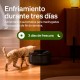 PETLIBRO Automatic Cat Wet Food with Dishwasher-Safe Stainless Steel Bowl, Wet Feeder with Semiconductor Cooling, 2.4 GHz Wi-Fi Smart App Control, 3 Days True Freshness, Wet Food Feeder PETLIBRO Automatic Cat Wet Food with Dishwasher-Safe Stainless Steel Bowl, Wet Feeder with Semiconductor Cooling, 2.4 GHz Wi-Fi Smart App Control, 3 Days True Freshness, Wet Food Feeder