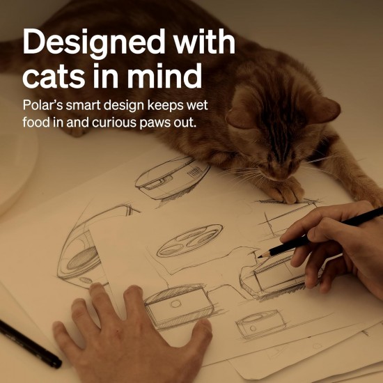 PETLIBRO Automatic Cat Wet Food with Dishwasher-Safe Stainless Steel Bowl, Wet Feeder with Semiconductor Cooling, 2.4 GHz Wi-Fi Smart App Control, 3 Days True Freshness, Wet Food Feeder PETLIBRO Automatic Cat Wet Food with Dishwasher-Safe Stainless Steel Bowl, Wet Feeder with Semiconductor Cooling, 2.4 GHz Wi-Fi Smart App Control, 3 Days True Freshness, Wet Food Feeder