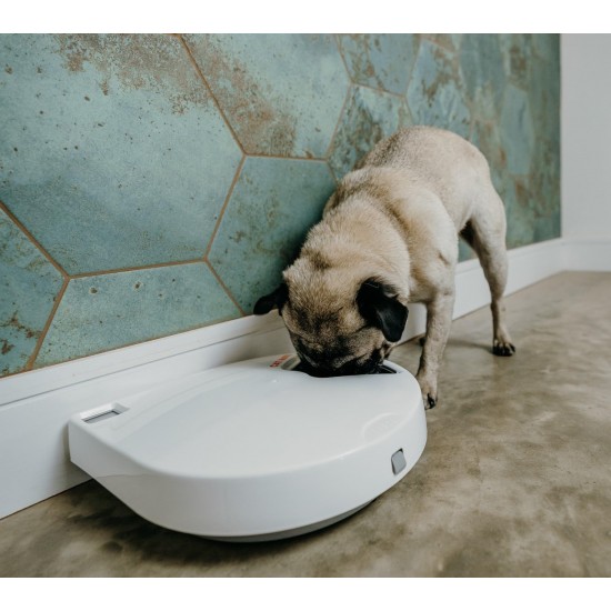 PetMate 80889 Cat Mate C500 Automatic Feeder for 5 Meals PetMate 80889 Cat Mate C500 Automatic Feeder for 5 Meals
