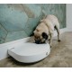 PetMate 80889 Cat Mate C500 Automatic Feeder for 5 Meals PetMate 80889 Cat Mate C500 Automatic Feeder for 5 Meals
