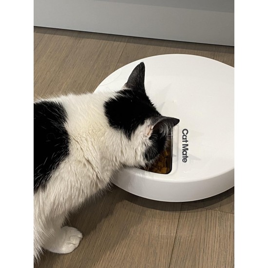 PetMate 80889 Cat Mate C500 Automatic Feeder for 5 Meals PetMate 80889 Cat Mate C500 Automatic Feeder for 5 Meals