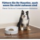 PetSafe Automatic feeder for meals.