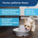 PetSafe Ceramic Cat Fountain in Avalon or Bachgeflüster Model with 2 Litre or 1.8 Litre Water Capacity, Drinking Fountain for Cats and Dogs with Dual Filter System and Dishwasher Safe Bowl PetSafe Ceramic Cat Fountain in Avalon or Bachgeflüster Model with 2 Litre or 1.8 Litre Water Capacity, Drinking Fountain for Cats and Dogs with Dual Filter System and Dishwasher Safe Bowl