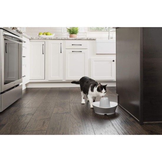 PetSafe Ceramic Cat Fountain in Avalon or Bachgeflüster Model with 2 Litre or 1.8 Litre Water Capacity, Drinking Fountain for Cats and Dogs with Dual Filter System and Dishwasher Safe Bowl PetSafe Ceramic Cat Fountain in Avalon or Bachgeflüster Model with 2 Litre or 1.8 Litre Water Capacity, Drinking Fountain for Cats and Dogs with Dual Filter System and Dishwasher Safe Bowl