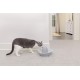PetSafe Ceramic Cat Fountain in Avalon or Bachgeflüster Model with 2 Litre or 1.8 Litre Water Capacity, Drinking Fountain for Cats and Dogs with Dual Filter System and Dishwasher Safe Bowl PetSafe Ceramic Cat Fountain in Avalon or Bachgeflüster Model with 2 Litre or 1.8 Litre Water Capacity, Drinking Fountain for Cats and Dogs with Dual Filter System and Dishwasher Safe Bowl