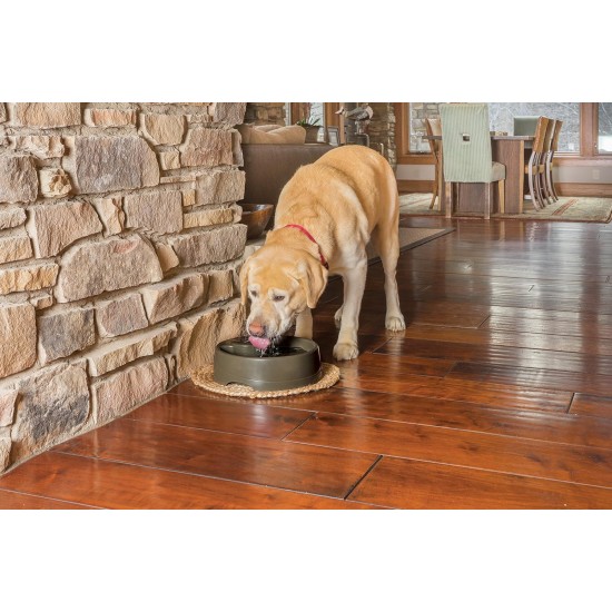 PetSafe Drinkwell Replacement Filter for Current Pet Fountains, Pack of 4, Organic Charcoal Carbon Filter for Cats and Dogs PetSafe Drinkwell Replacement Filter for Current Pet Fountains, Pack of 4, Organic Charcoal Carbon Filter for Cats and Dogs