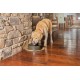 PetSafe Drinkwell Replacement Filter for Current Pet Fountains, Pack of 4, Organic Charcoal Carbon Filter for Cats and Dogs PetSafe Drinkwell Replacement Filter for Current Pet Fountains, Pack of 4, Organic Charcoal Carbon Filter for Cats and Dogs