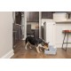 PetSafe Drinkwell Replacement Pump for Butterfly Pet Fountain and 1.8 & 3.7 & 7.5 Litre Drinking Fountain, Provides Water Flow, Black PetSafe Drinkwell Replacement Pump for Butterfly Pet Fountain and 1.8 & 3.7 & 7.5 Litre Drinking Fountain, Provides Water Flow, Black