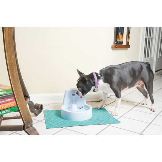 PetSafe Drinkwell Water Fountain - Ideal for Small Dog Breeds and Cats - Easy to Clean - Filter Included - Small Fountain PetSafe Drinkwell Water Fountain - Ideal for Small Dog Breeds and Cats - Easy to Clean - Filter Included - Small Fountain
