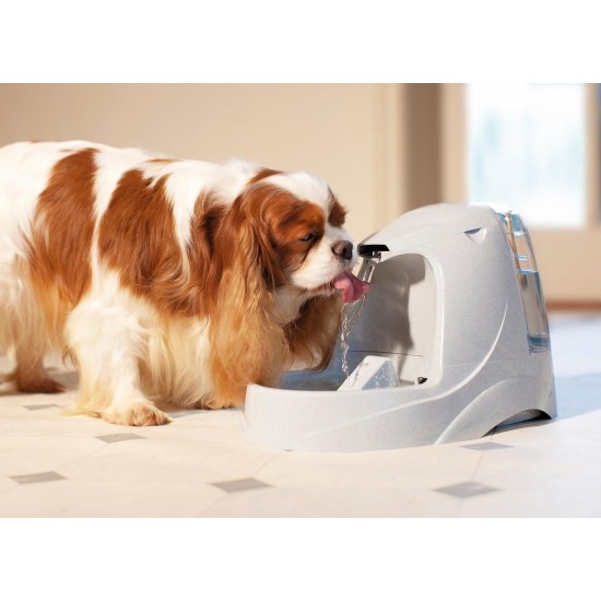 PetSafe Drinkwell Water Fountain Adjustable Flow Easy Clean Fountain for Pets PetSafe Drinkwell Water Fountain Adjustable Flow Easy Clean Fountain for Pets