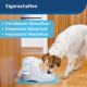PetSafe Drinkwell Water Fountain Adjustable Flow Easy Clean Fountain for Pets PetSafe Drinkwell Water Fountain Adjustable Flow Easy Clean Fountain for Pets