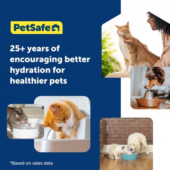 PetSafe Drinkwell Water Fountain for Dogs and Cats, Ideal for Medium Dog Breeds and Multiple Cat Households, Easy Clean Design, Filter Included PetSafe Drinkwell Water Fountain for Dogs and Cats, Ideal for Medium Dog Breeds and Multiple Cat Households, Easy Clean Design, Filter Included