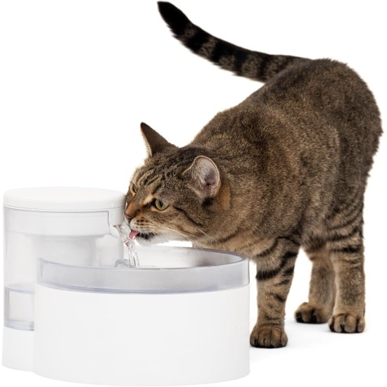PetSafe Outlast Drinking Fountain without Pump, 1.7 L, Drinking Fountain for Cats and Small Dogs, Dishwasher Safe, Easy Assembly and Cleaning, Water Filter Included PetSafe Outlast Drinking Fountain without Pump, 1.7 L, Drinking Fountain for Cats and Small Dogs, Dishwasher Safe, Easy Assembly and Cleaning, Water Filter Included