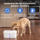PetSafe Viva Drinking Fountain for Cats and Small Dogs - 4.1 l/140 oz, Indoor Cat Drinking Fountain with Extremely Quiet Pump, Dishwasher Safe, Easy Cleaning, Water Filter Included PetSafe Viva Drinking Fountain for Cats and Small Dogs - 4.1 l/140 oz, Indoor Cat Drinking Fountain with Extremely Quiet Pump, Dishwasher Safe, Easy Cleaning, Water Filter Included
