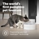 PetSafe Viva Drinking Fountain for Cats and Small Dogs - 4.1 l/140 oz, Indoor Cat Drinking Fountain with Extremely Quiet Pump, Dishwasher Safe, Easy Cleaning, Water Filter Included PetSafe Viva Drinking Fountain for Cats and Small Dogs - 4.1 l/140 oz, Indoor Cat Drinking Fountain with Extremely Quiet Pump, Dishwasher Safe, Easy Cleaning, Water Filter Included